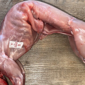 LAPIN