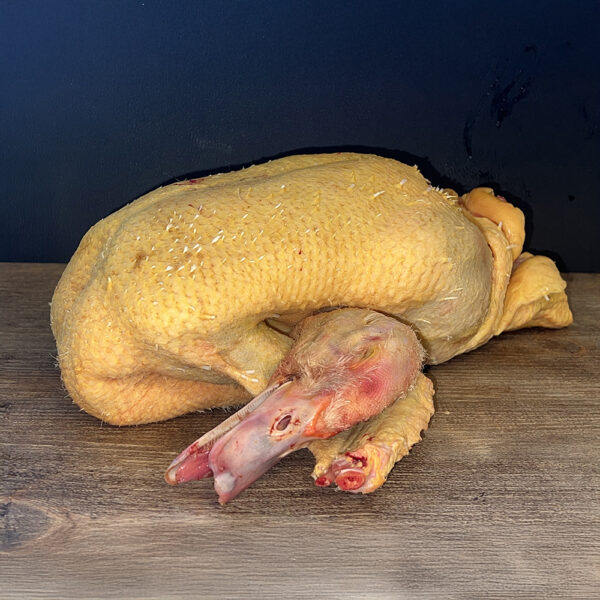 CANETTE PRETE A CUIRE AVEC TETE