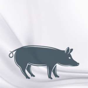 ARAIGNEE DE PORC X6